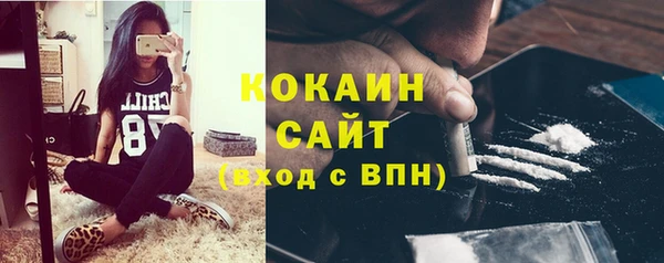 молекула духа Магадан