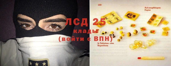 молекула духа Магадан