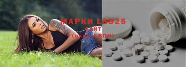 молекула духа Магадан
