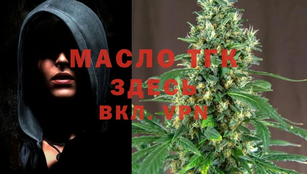 стаф Вяземский