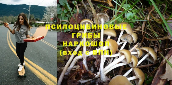 молекула духа Магадан