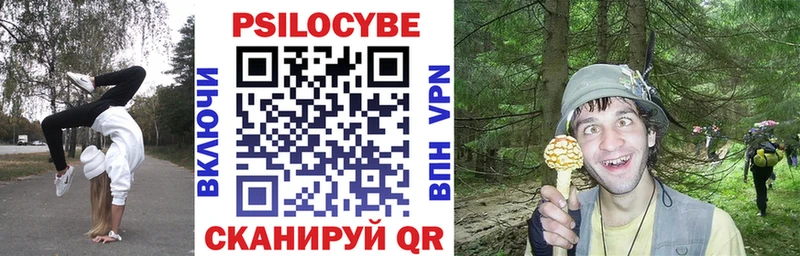 купить закладку  Нарьян-Мар  Галлюциногенные грибы GOLDEN TEACHER 