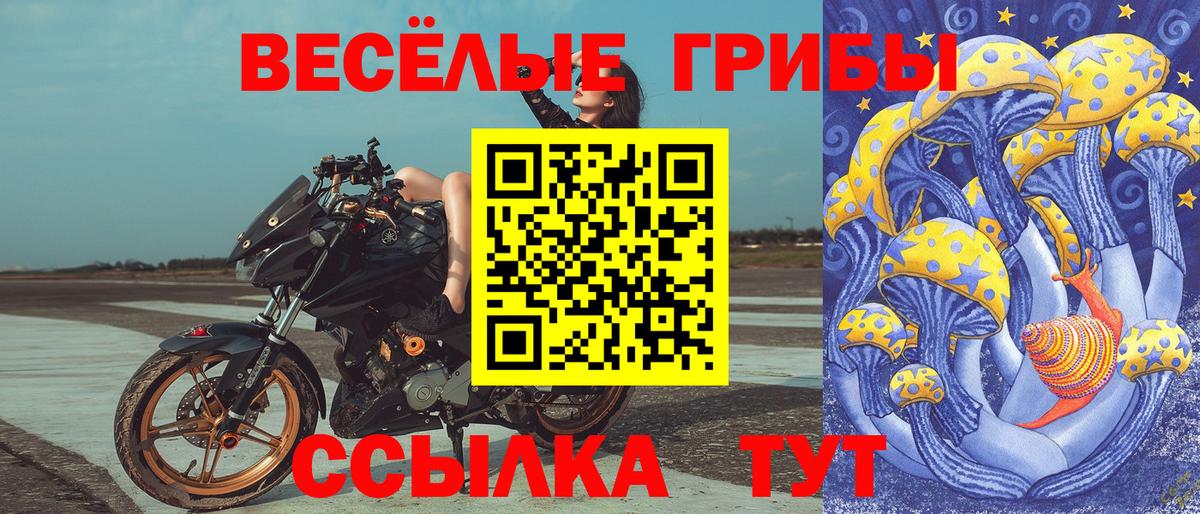 Нарьян-Мар  Галлюциногенные грибы GOLDEN TEACHER  Вход с VPN  закладка  Галлюциногенные грибы MAGIC MUSHROOMS 