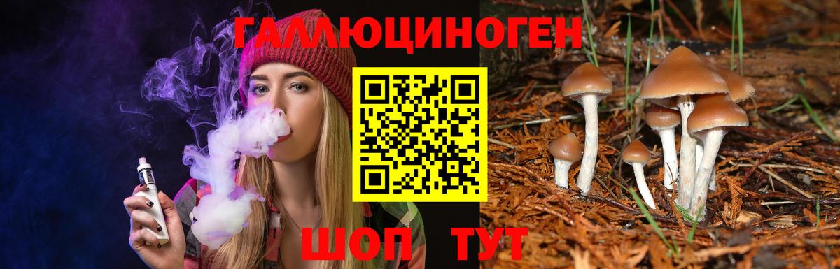 Псилоцибиновые грибы мицелий  купить  сайты  Нарьян-Мар 